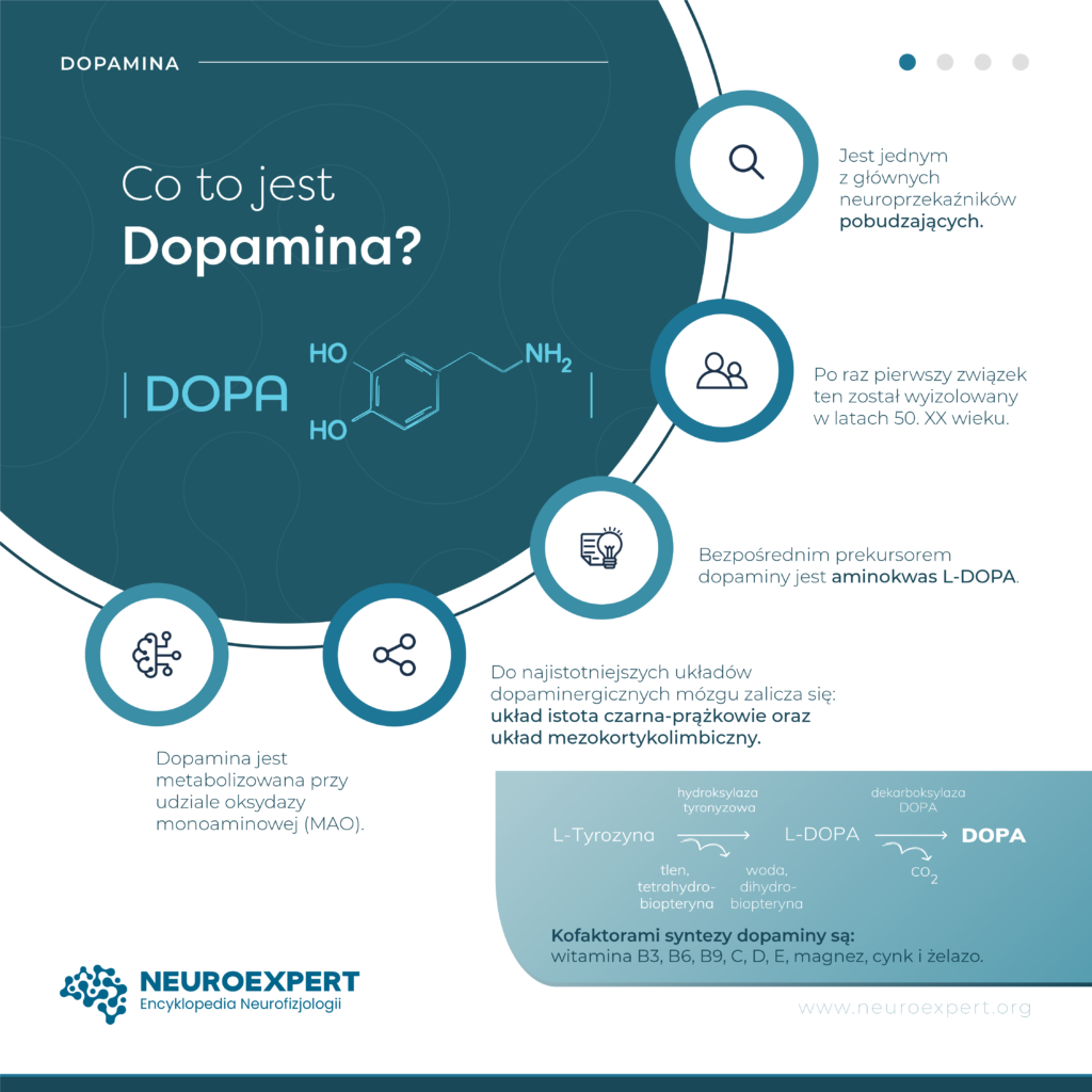 Karta 1 z 4 „Co to jest dopamina” — wzór strukturalny oraz pięć faktów: neuroprzekaźnik pobudzający wyizolowany w latach 50. XX wieku, prekursorem jest L-DOPA, metabolizowana przez oksydazę monoaminową, główne układy to istota czarna-prążkowie i mezokortykolimbiczny; u dołu szlak syntezy L-tyrozyna → L-DOPA → dopamina z kofaktorami