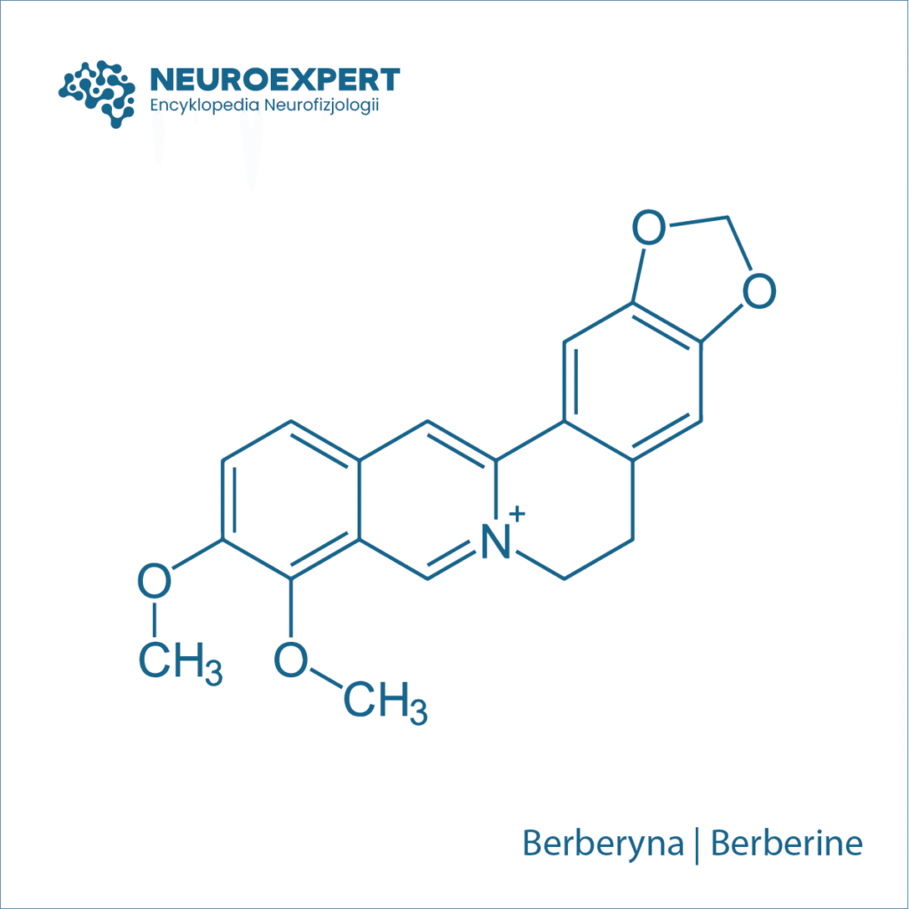 Berberyna