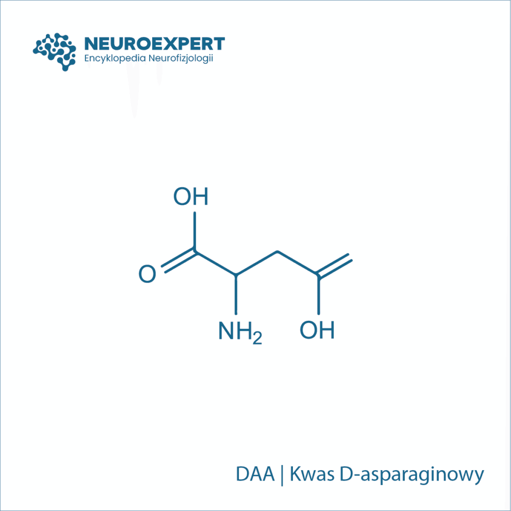 Kwas D-asparaginowy DAA