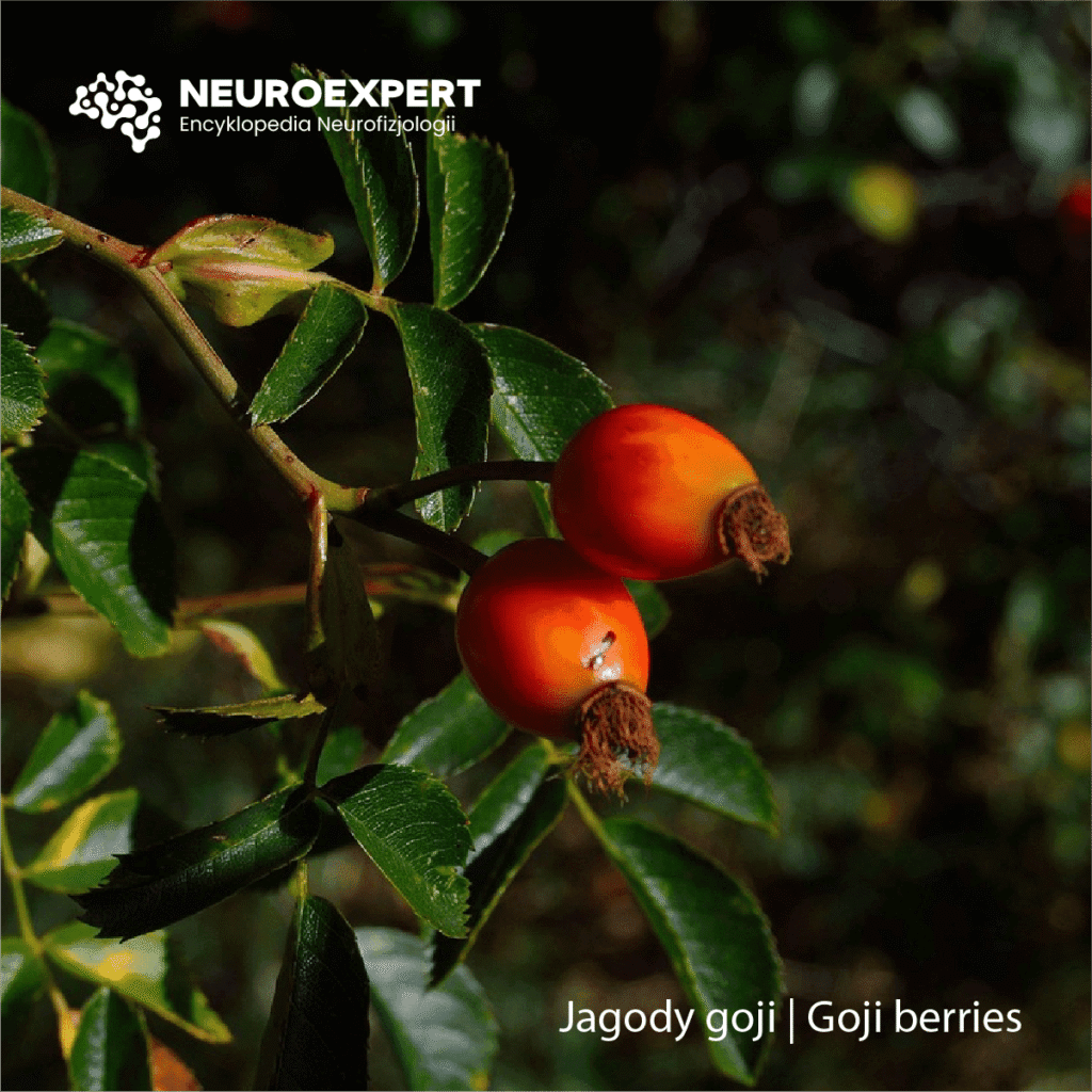 Jagody goji