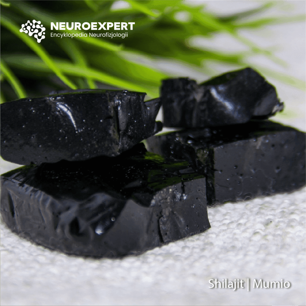 Shilajit Mumio